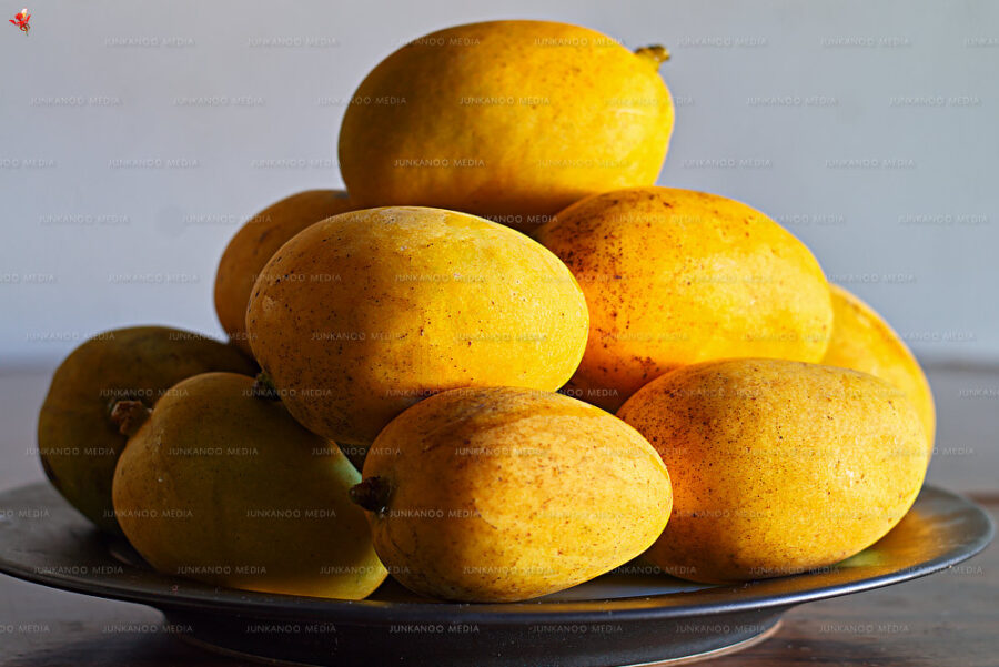 Dinner plate stacked with Bahamian mangoes.