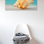Queen Conch Shell - Image 4