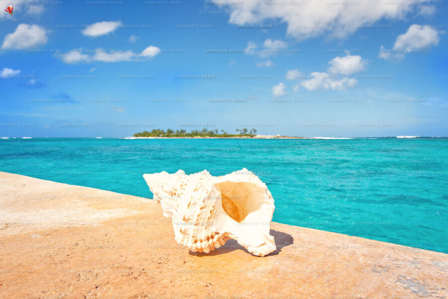 Shell Overlooking Long Cay