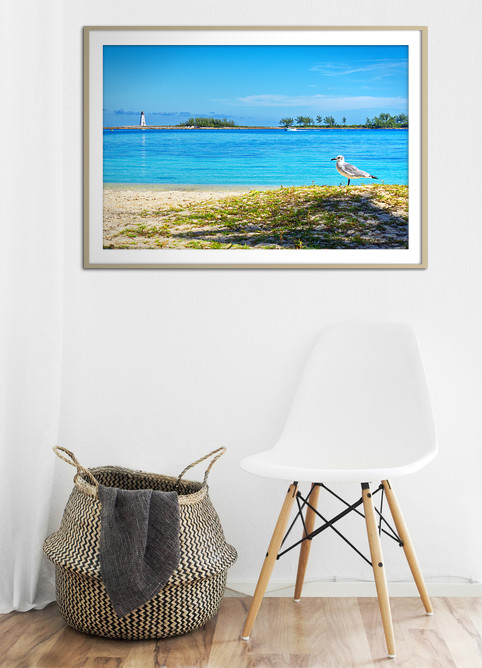 Gull & Lighthouse - Image 4