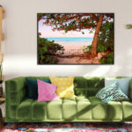 Beach Almond tree at Northwinds - Image 2