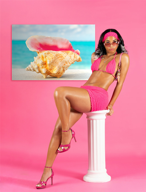 Queen Conch Shell - Image 2