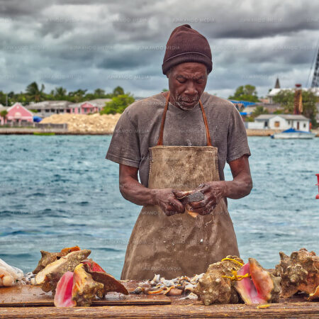 A fisherman processes conch with West Bay Street in the background in Nassau Bahamas.