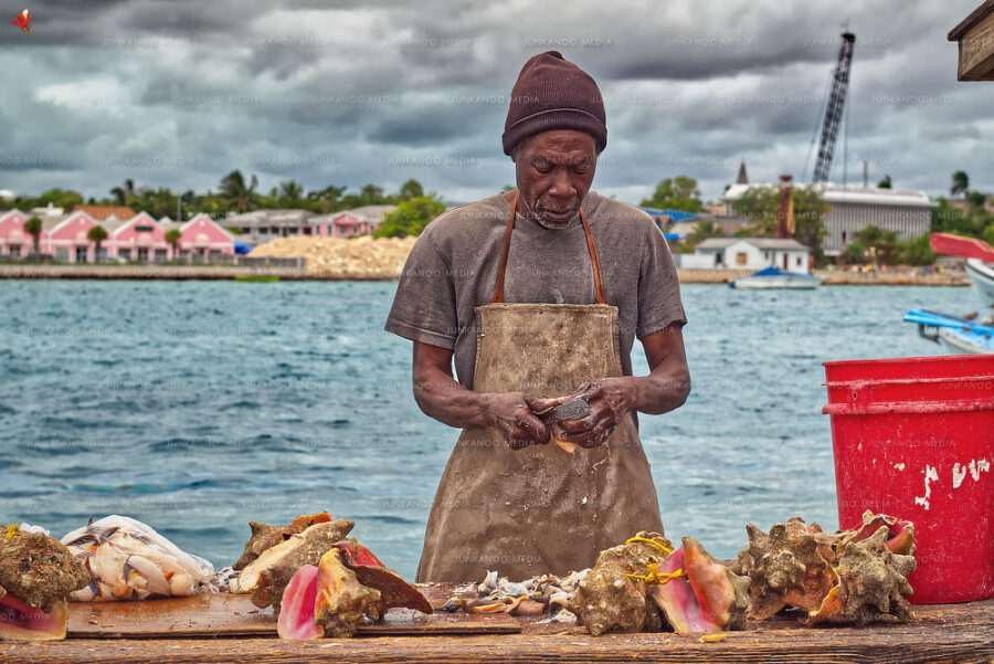 A fisherman processes conch with West Bay Street in the background in Nassau Bahamas.