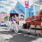 Horse and Carriage, Shirley Street, Nassau