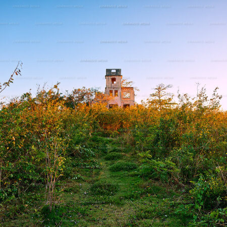 Ruins of the Chipman Estate, off West Bay Street in Nassau, Bahamas.