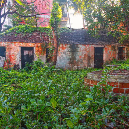 Two abandoned structures sit in a parcel of land overgrown with weeds.