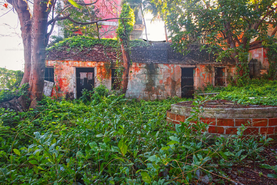 Two abandoned structures sit in a parcel of land overgrown with weeds.