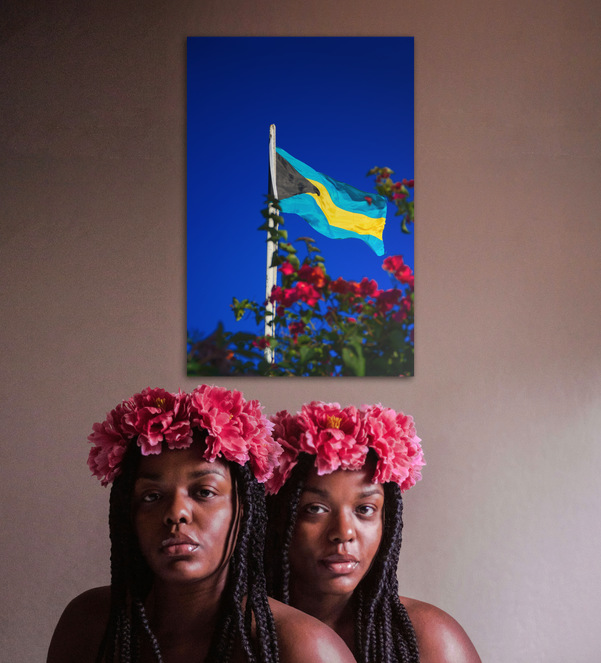 Steady Sunward - Image 2