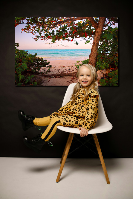 Beach Almond tree at Northwinds - Image 2