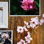 Pink Mornings - Image 4