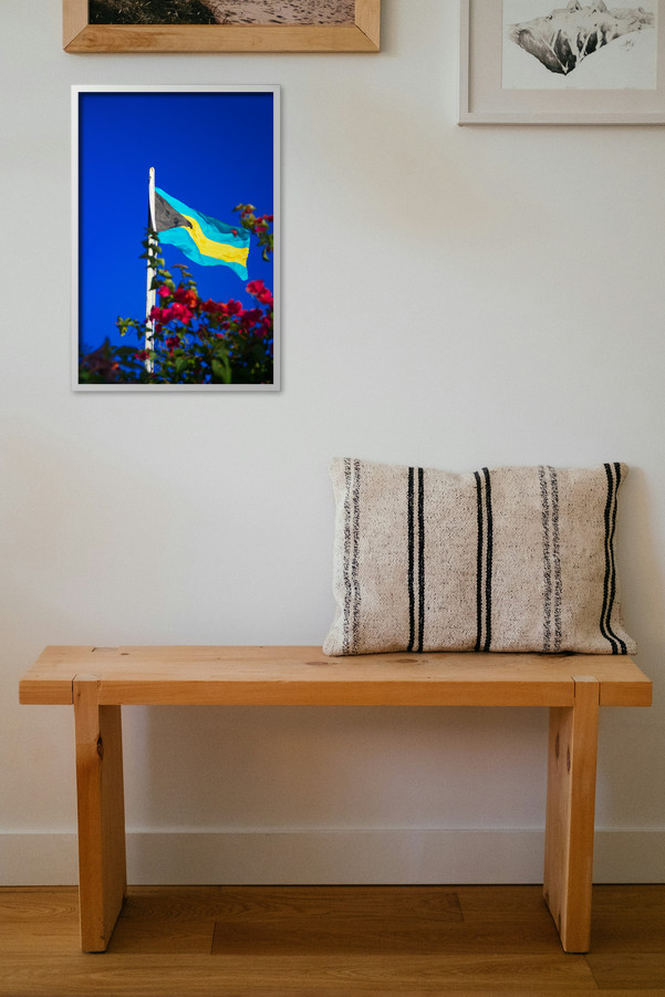 Steady Sunward - Image 4