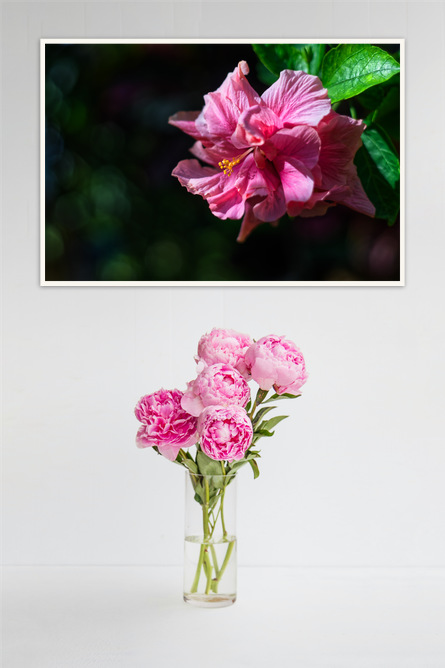 Pink Mornings - Image 3