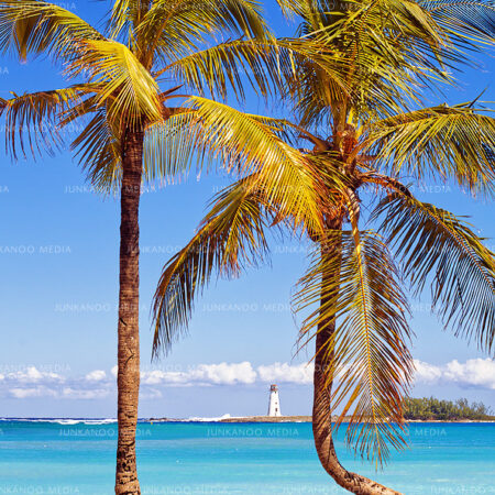 Two palm trees in the foreground with Nassau harbor lighthouse in the background.