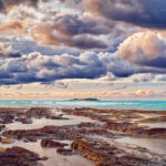 Tidal Pools