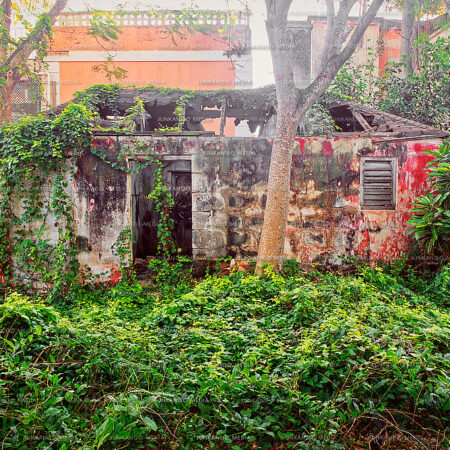 The ruins of a dwelling on Cumberland Street in Nassau, Bahamas.