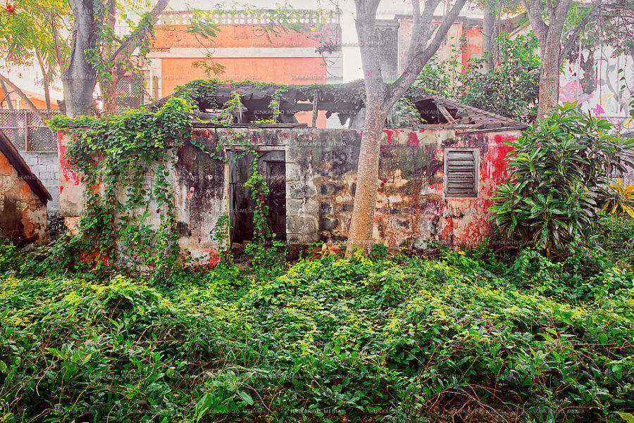 The ruins of a dwelling on Cumberland Street in Nassau, Bahamas.