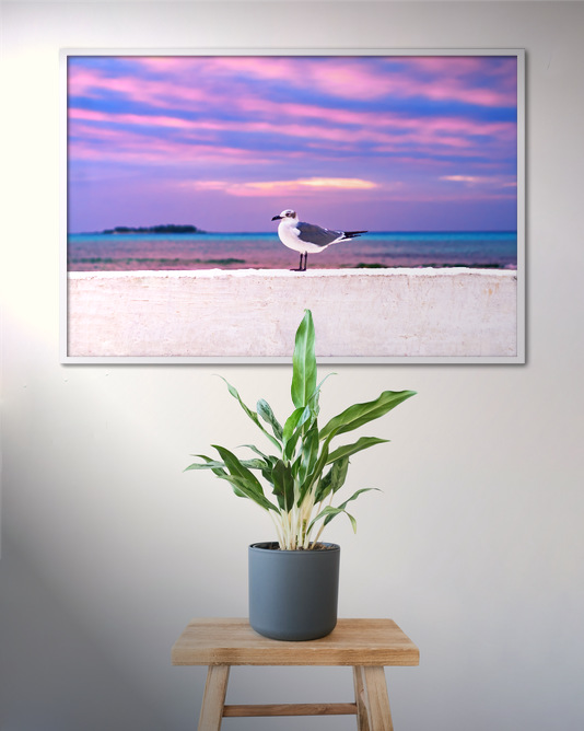 Gull Under Herringbone Sky - Image 4