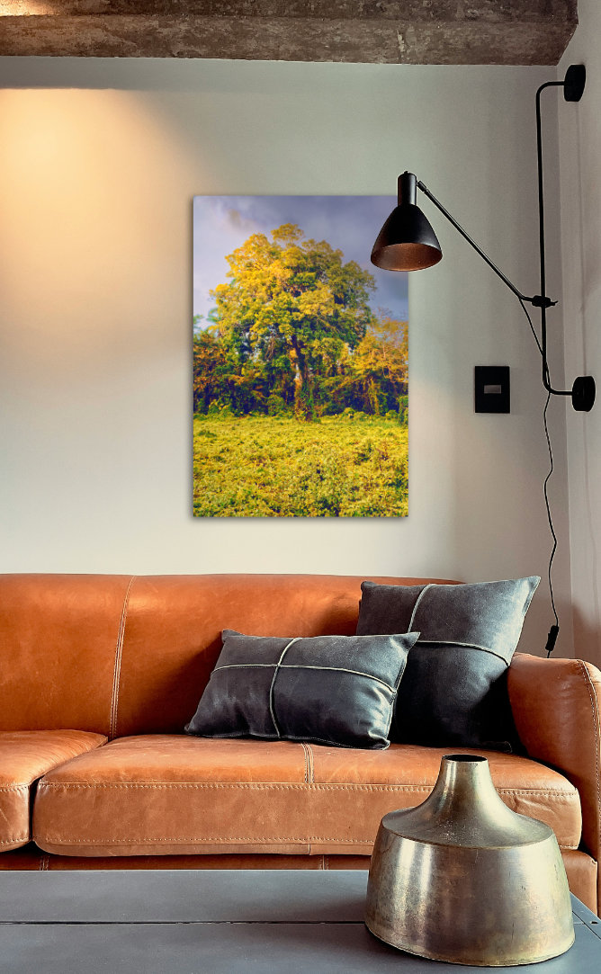 Cemeteries - Image 3