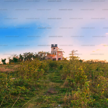 wide angle view of Chipman Estate in New Providence, Bahamas.