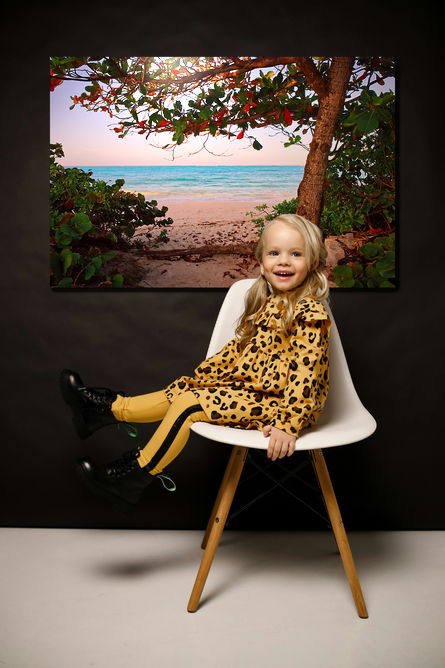 Beach Almond tree at Northwinds - Image 2