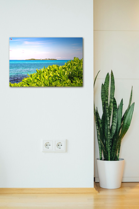 Balmoral Island - Image 4