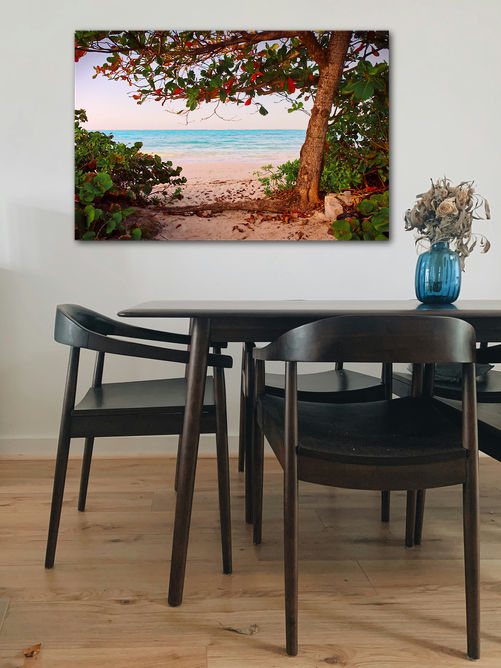 Beach Almond tree at Northwinds - Image 4