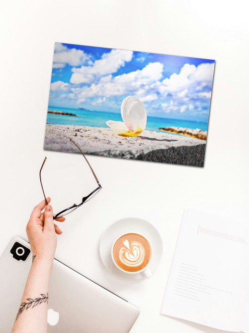 Cumulous Clamshell - Image 2