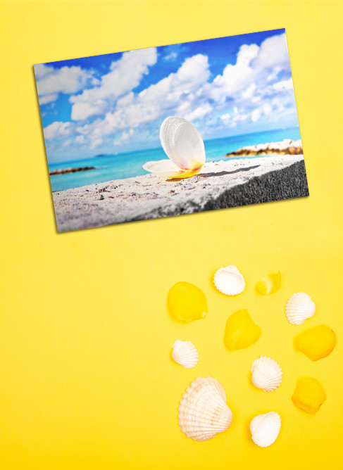 Cumulous Clamshell - Image 3