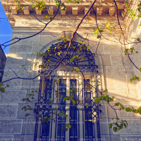 Bars on an exterior bank window illuminated by sunlight.