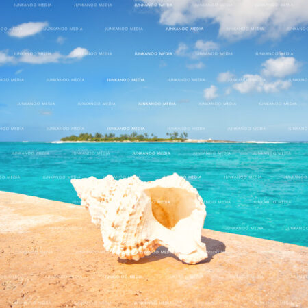 A shell sits on a the concrete at the western most berth of Arawak Cay in The Bahamas with an island in the background.