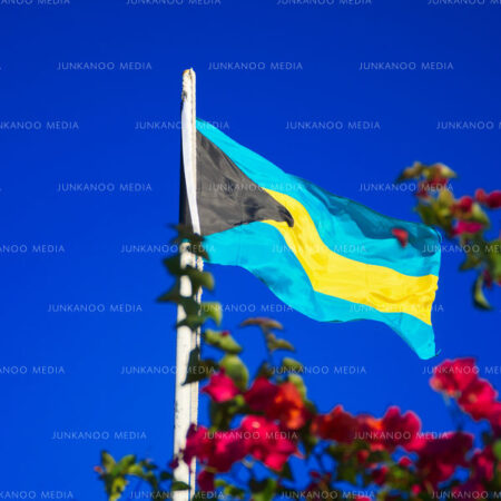 Bahamian flag piercing the blue sky above while framed below by burgundy bougainvillea flowers.