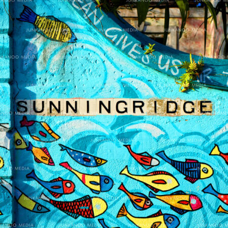 Wall painted blue with fish depicted swimming in unison, Suningridge Street, Nassau Bahamas